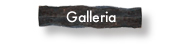 galerija